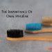 The Importance of Oral Hygiene