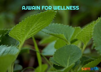 Ajwain for Well-being