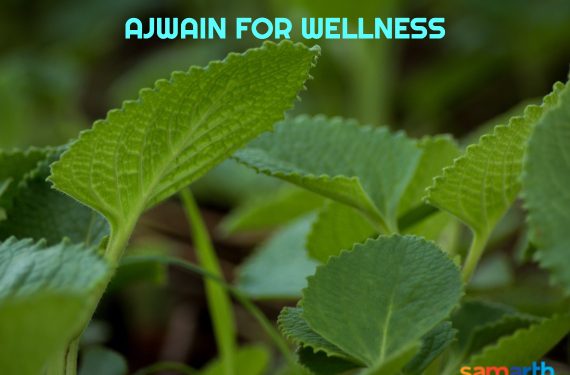 Ajwain for Well-being