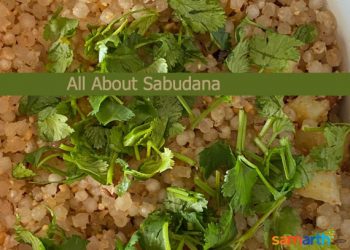 All About Sabudana