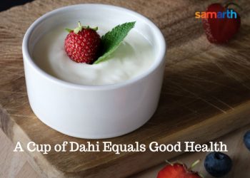 A Cup of Dahi Equals Good Health