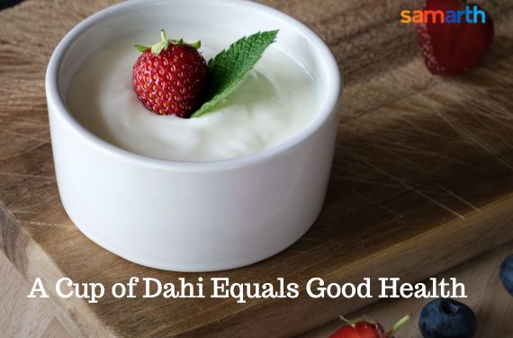 A Cup of Dahi Equals Good Health