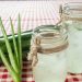 10 benefits of Aloe Vera for elderly