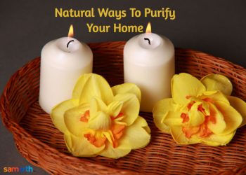Natural Ways To Purify Your Home