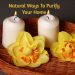 Natural Ways To Purify Your Home