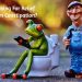How to avoid constipation