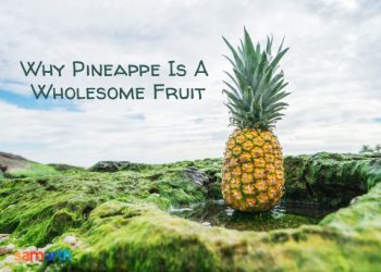 Why Pineapple is a Wholesome Fruit?