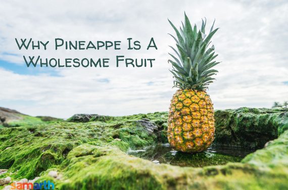 Why Pineapple is a Wholesome Fruit?