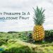Why Pineapple is a Wholesome Fruit?