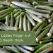 Why Ladies Finger is A Good Health Hack