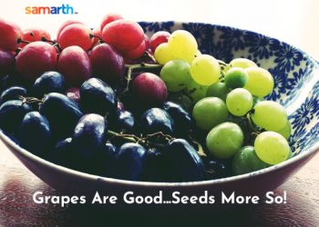 Grapes Are Good – Seeds More So