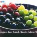 Grapes Are Good – Seeds More So