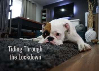 Tiding Through The Lockdown