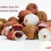 Don’t Miss Out on Those Summer Litchis