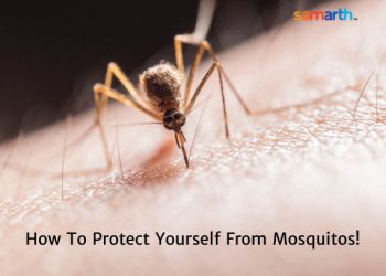 Tips To Tackle Mosquito Bites