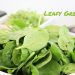 Palak Tidbits