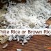 White or Brown Rice – Which is Best?