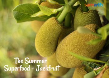 The Summer Superfood - Jackfruit