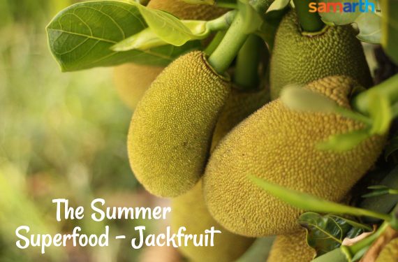 The Summer Superfood - Jackfruit