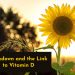 Lockdown and Vitamin D – The Link