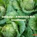 Cabbage – A Nutrient Rich Cruciferous