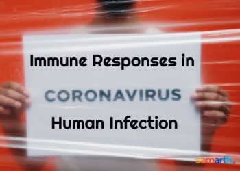 Immune Responses in Human Coronavirus Infection