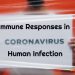 Immune Responses in Human Coronavirus Infection