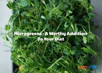 Microgreens – A Worthy Diet Addition