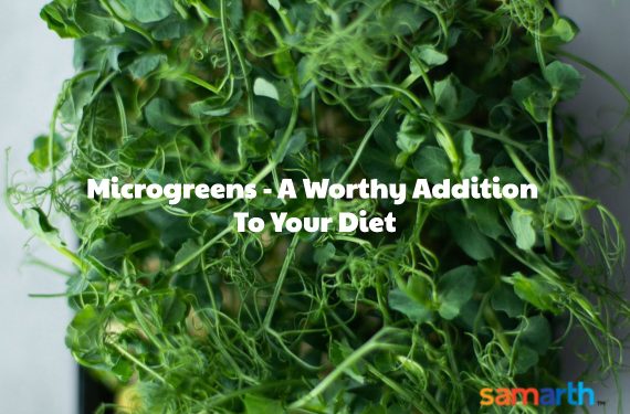 Microgreens – A Worthy Diet Addition