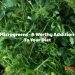Microgreens – A Worthy Diet Addition