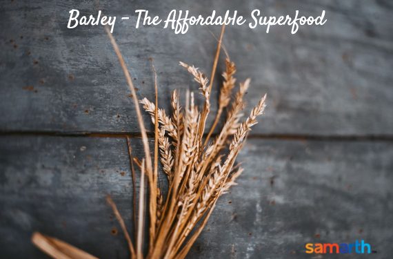 Barley – The Affordable Superfood