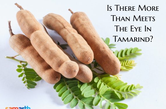 Is There More Than Meets The Eye In Tamarind?