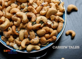 The Cashew Tales