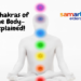 7 Chakras of the Human Body – Explained!