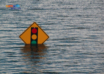 Disasters 101: How to stay prepared as seniors