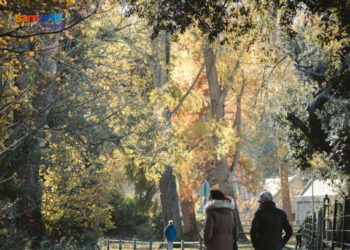 5 recreational activities close to nature