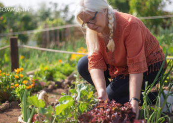 Today’s Bulletin-16-07-23