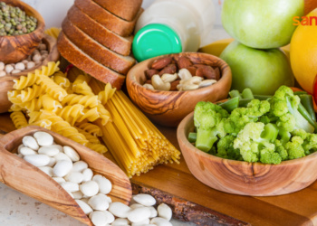 Exploring the Power of Everyday Nutrients