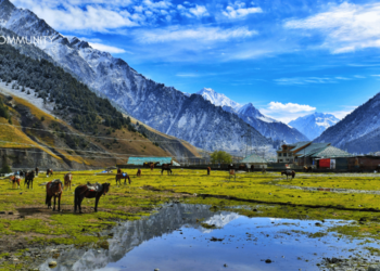 A Serene Journey for Seniors in Kashmir