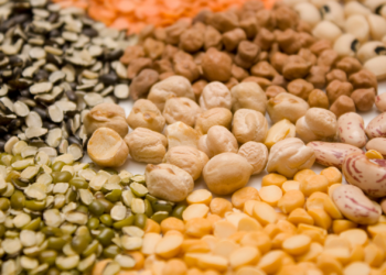 Know Your Pulses: A Senior-Friendly Guide to Eating Dal the Right Way